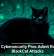 U.S. Cybersecurity Pros Admit Role in BlackCat Attacks